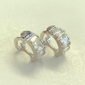 Stainless Steel Rhinestone Huggie Earrings